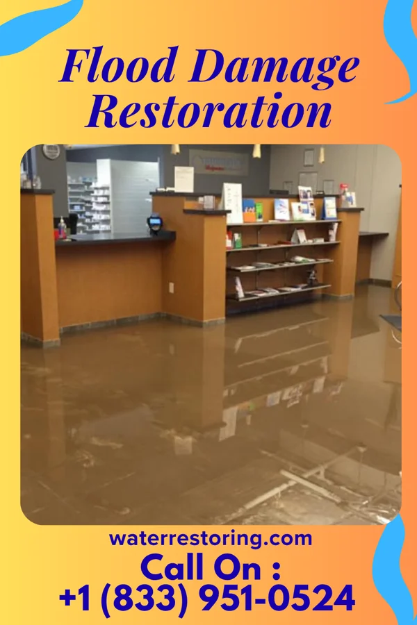 Flood Damage Restoration in Cadott, WI