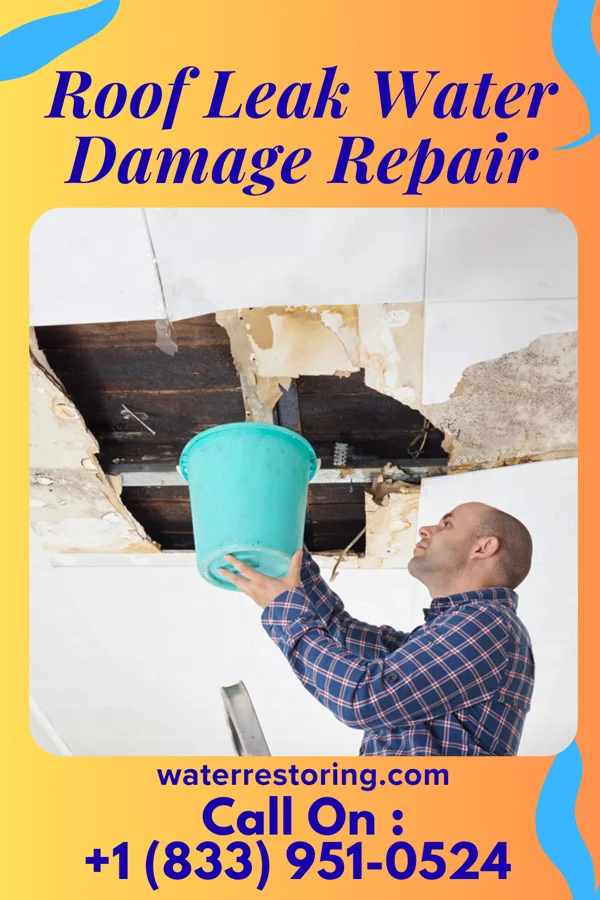 Roof Leak Water Damage Repair in Cadott, WI
